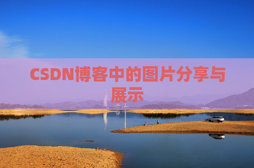 CSDN博客中的图片分享与展示